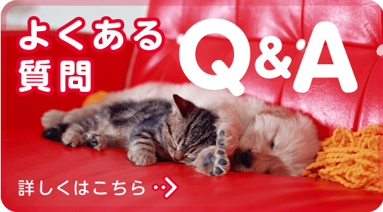 よくあるご質問はこちら
