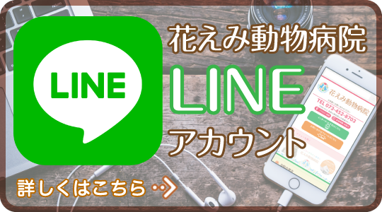 当院のLINEアカウントはこちら