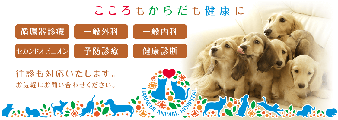 『こころもからだも健康に』循環器診察・一般外科・一般内科・セカンドオピニオン・予防診療・健康診断。往診も対応いたします。お気軽にお問い合わせください。